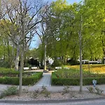 Seeglueck